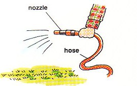 watering the lawn