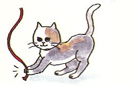 the cat pounced on the string
