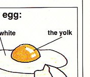 diagram of the parts of an egg