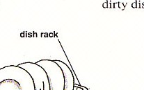 putting wet dishes in the dish rack