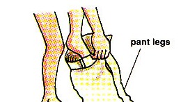 stepping into pants