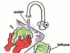 rinsing lettuce under water