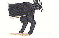 the dog wagging his tail