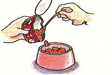 putting cat food in the cat's dish