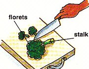 chopping up broccoli