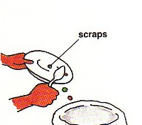 scraping scraps into the garbage