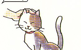 petting the cat