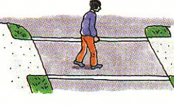 crossing in the crosswalk