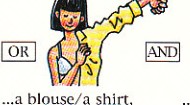 blouse or shirt