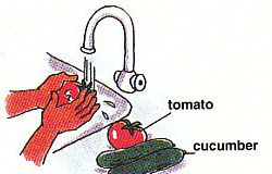 rinsing tomatoes and cucumbers