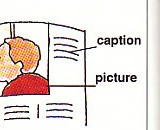 looked at the pictures