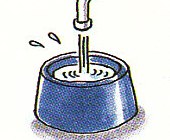 putting fresh water in the water dish