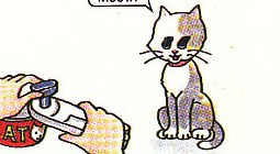 Tom opening a can of cat food