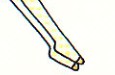 nylons