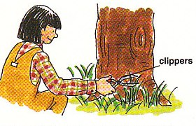 trimming the grass by hand where the mower couldn't reach
