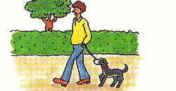 taking him out for a walk