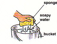 dipping a sponge into soapy water