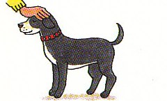 petting the dog after he came