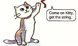 playing with the cat by moving a piece of string