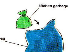 putting kitchen garbage into a big garbage bag