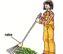 raking up the grass clippings